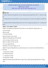 Đề thi giữa học kì 1 Vật lí 11 Chân trời sáng tạo - Đề số 01
